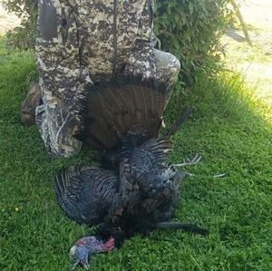 Meet your Posher, Bobby